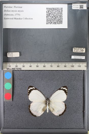 Media type: image;   Entomology 139998